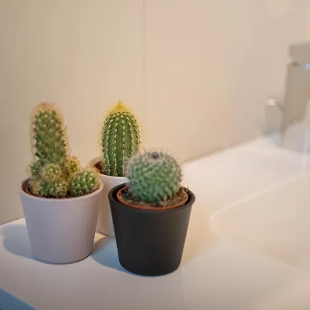 Apartamento Terrazza La Mole